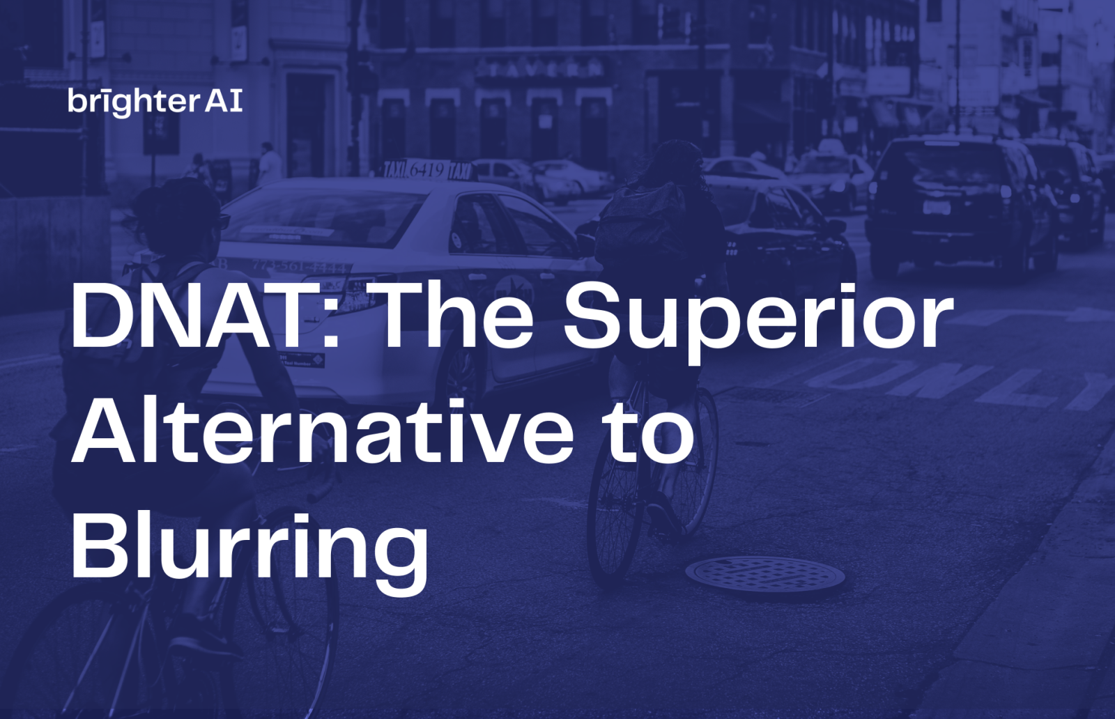 DNAT The Superior Alternative to Blurring brighter AI